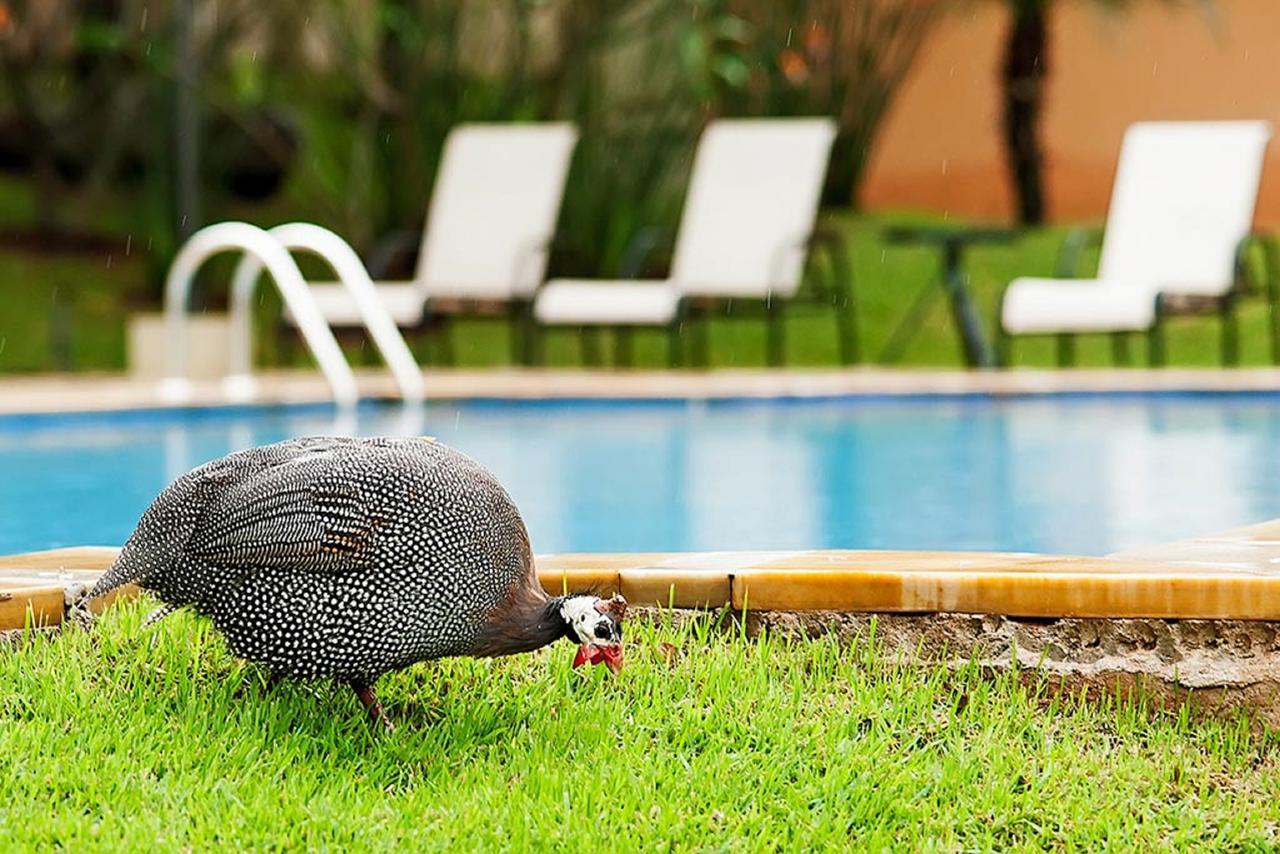 Vila Real Hotel Jau Ngoại thất bức ảnh